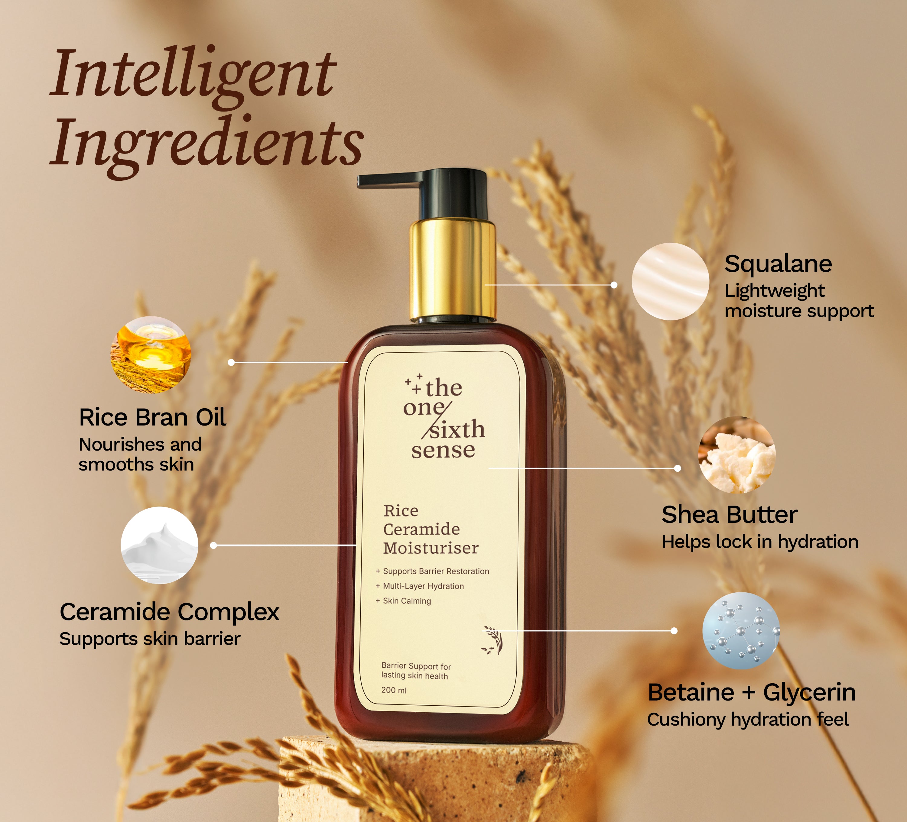 Rice Ceramide Moisturiser