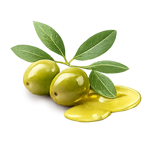 OLIVE SQUALANE