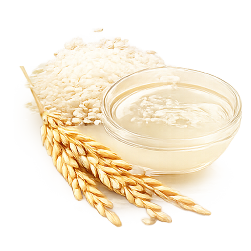 RICE WATER